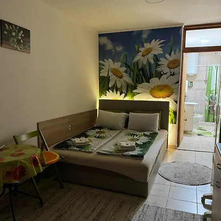 Nela Daire Ni
